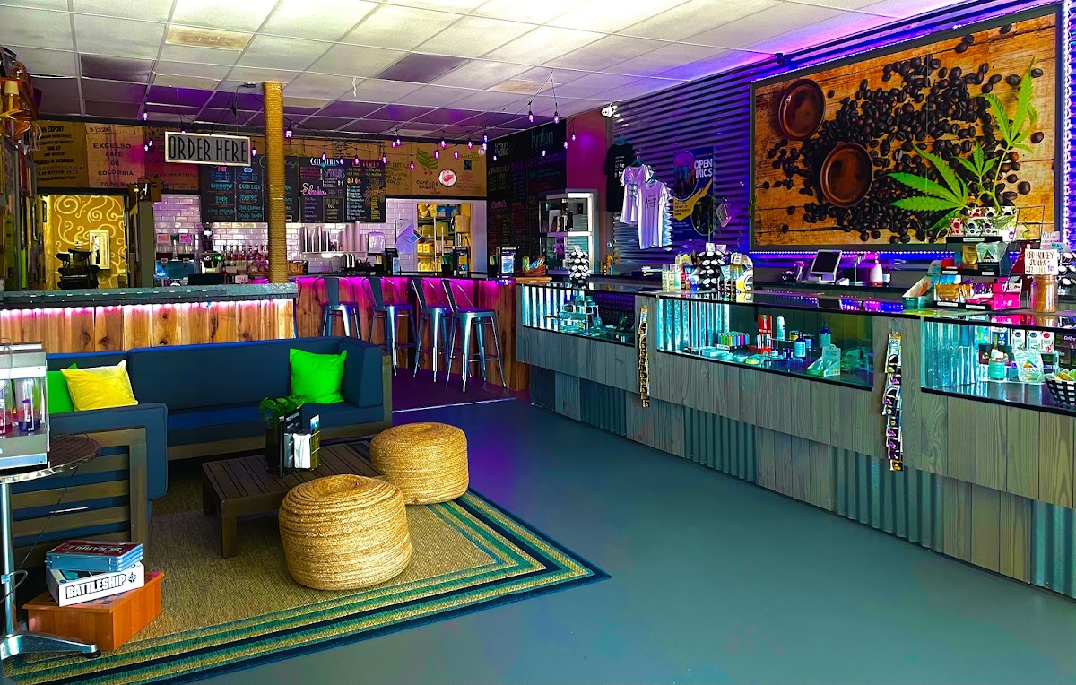 Kava & Company - Mandarin photo 3