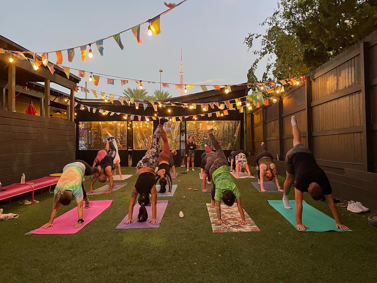 Kava & Company - San Marco photo 3