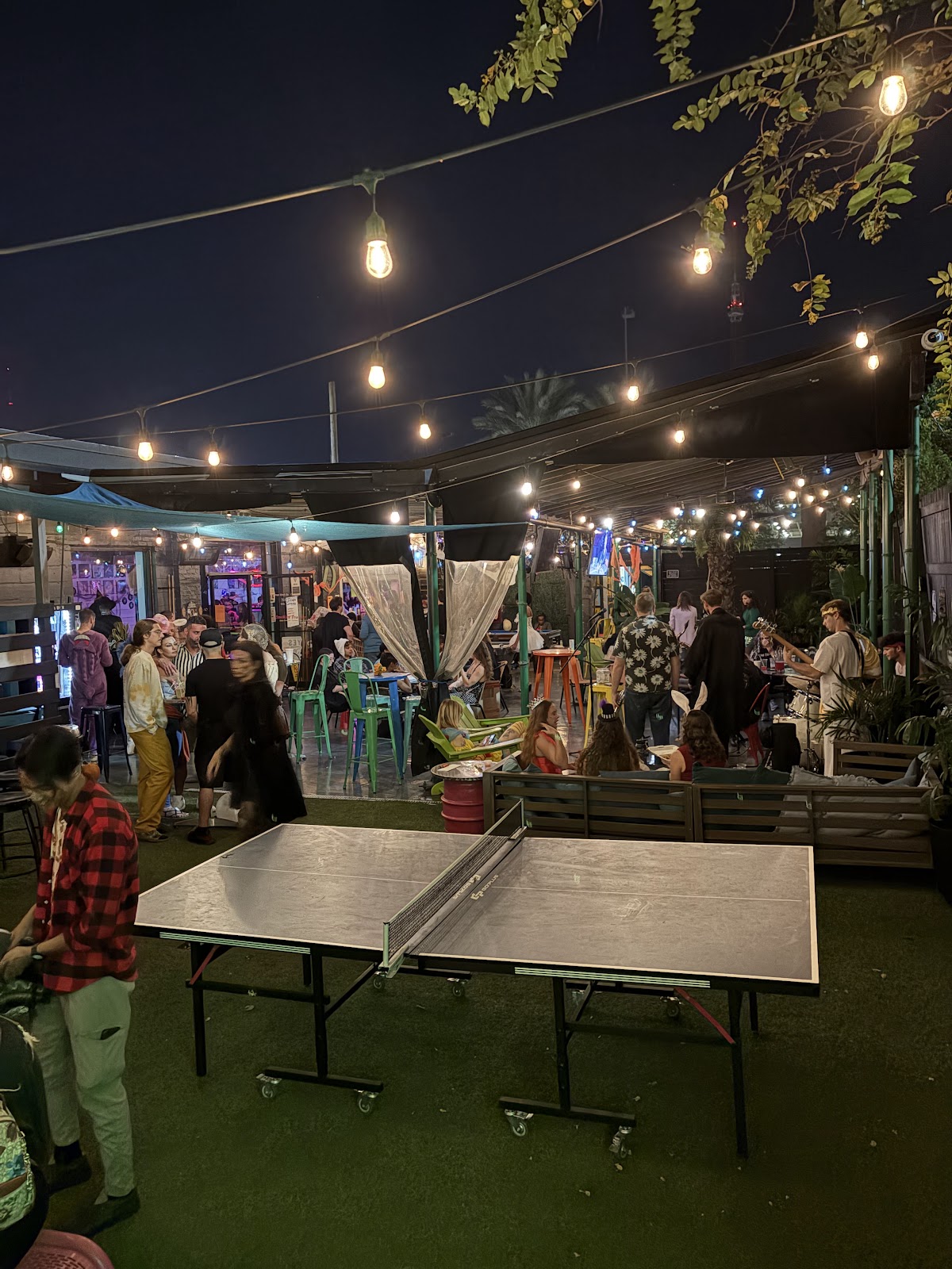 Kava & Company - San Marco photo 5