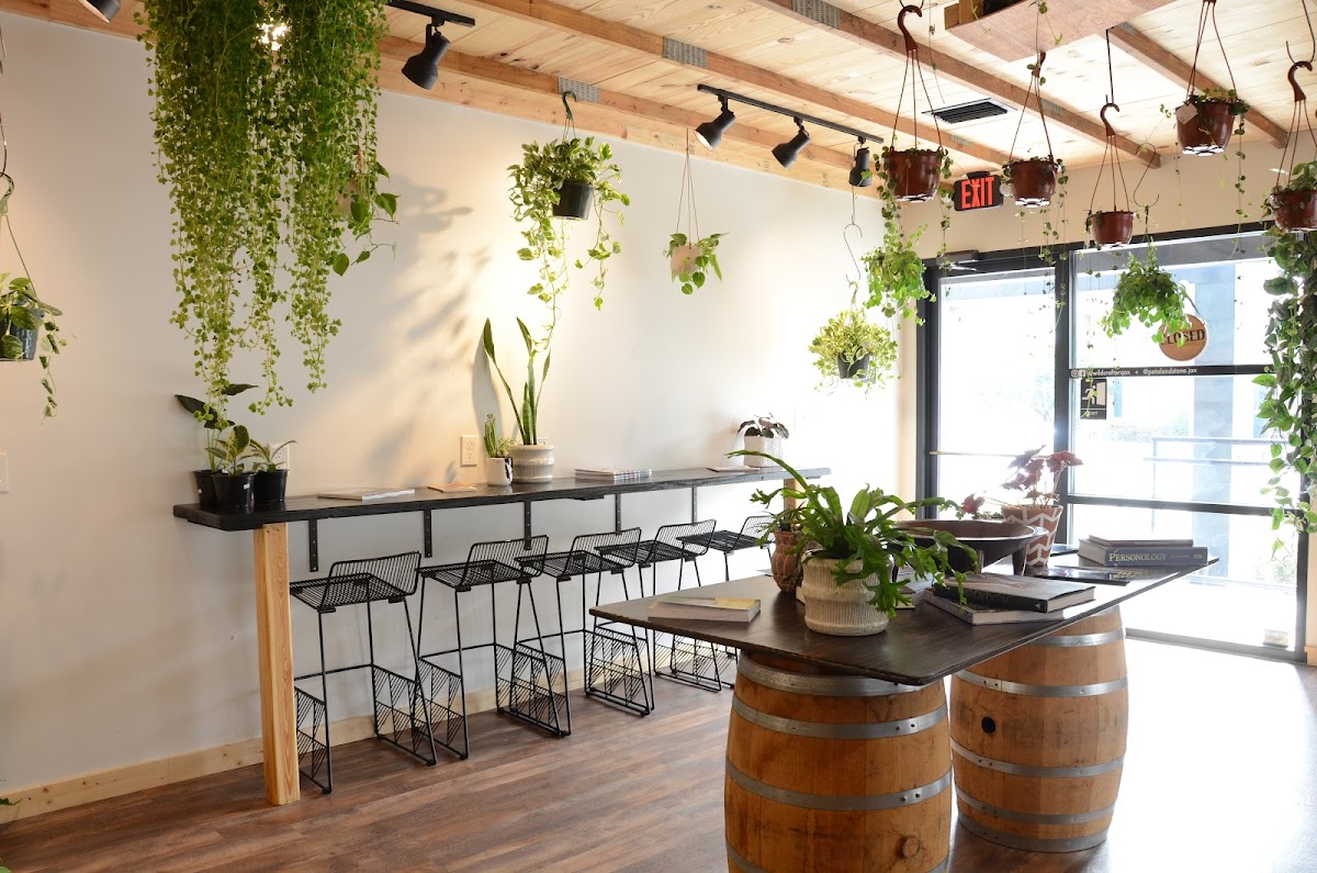 Wildcrafters Booze-Free & Kava Bar photo 7