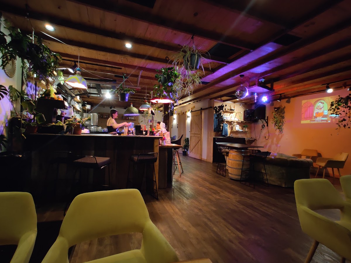 Wildcrafters Booze-Free & Kava Bar photo 8