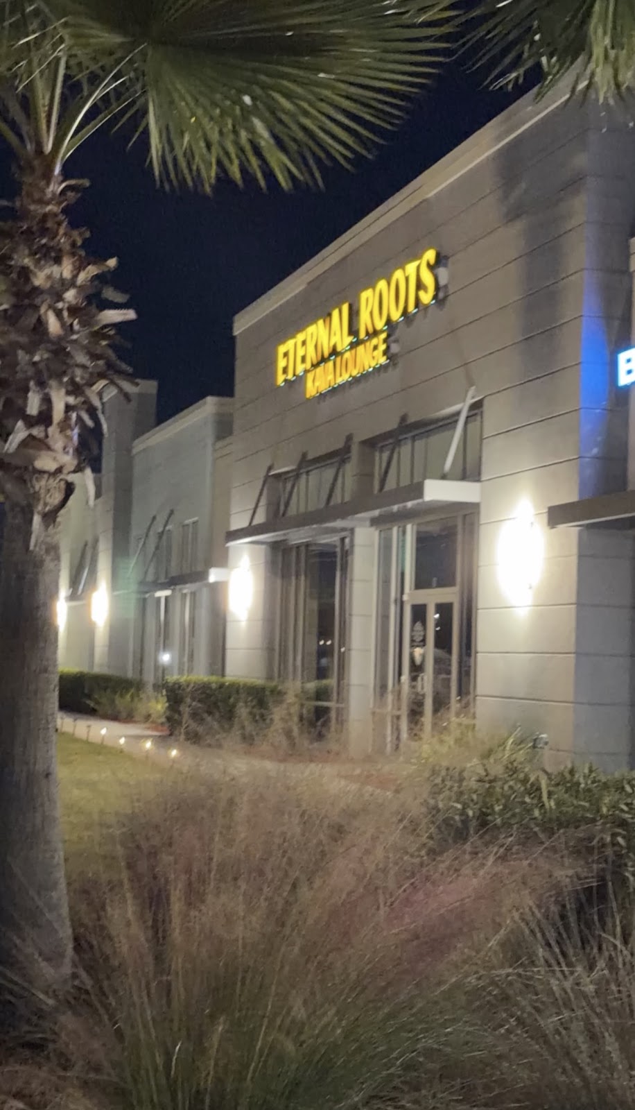 Eternal Roots Kava Lounge photo 6