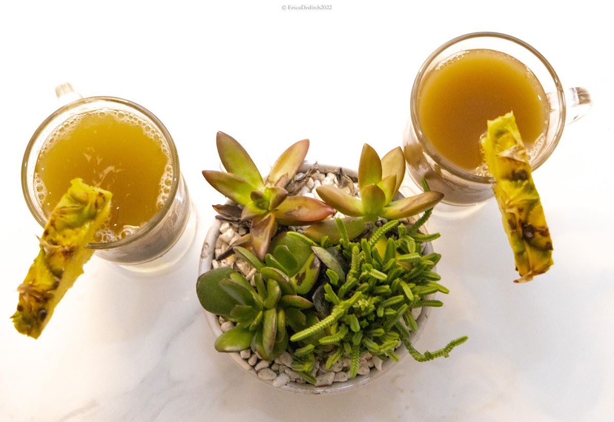 Kafe Kava - St. Augustine Kava Bar photo 1