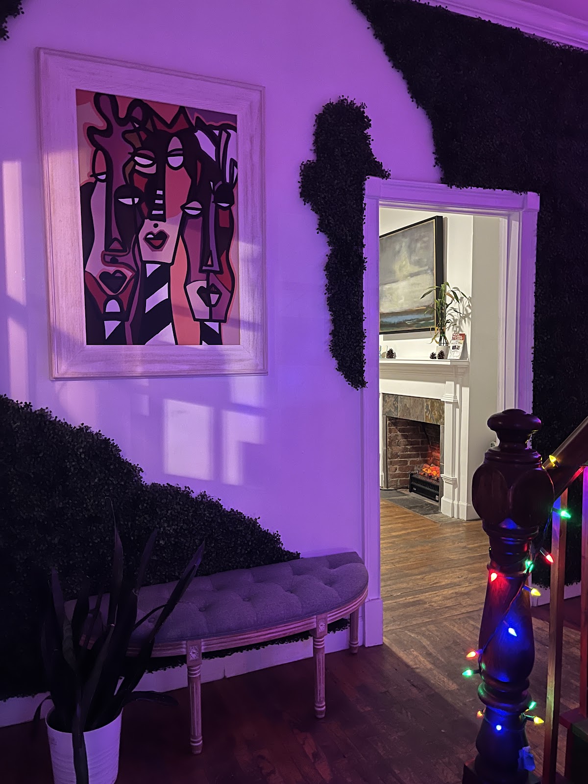 Kafe Kava - St. Augustine Kava Bar photo 3