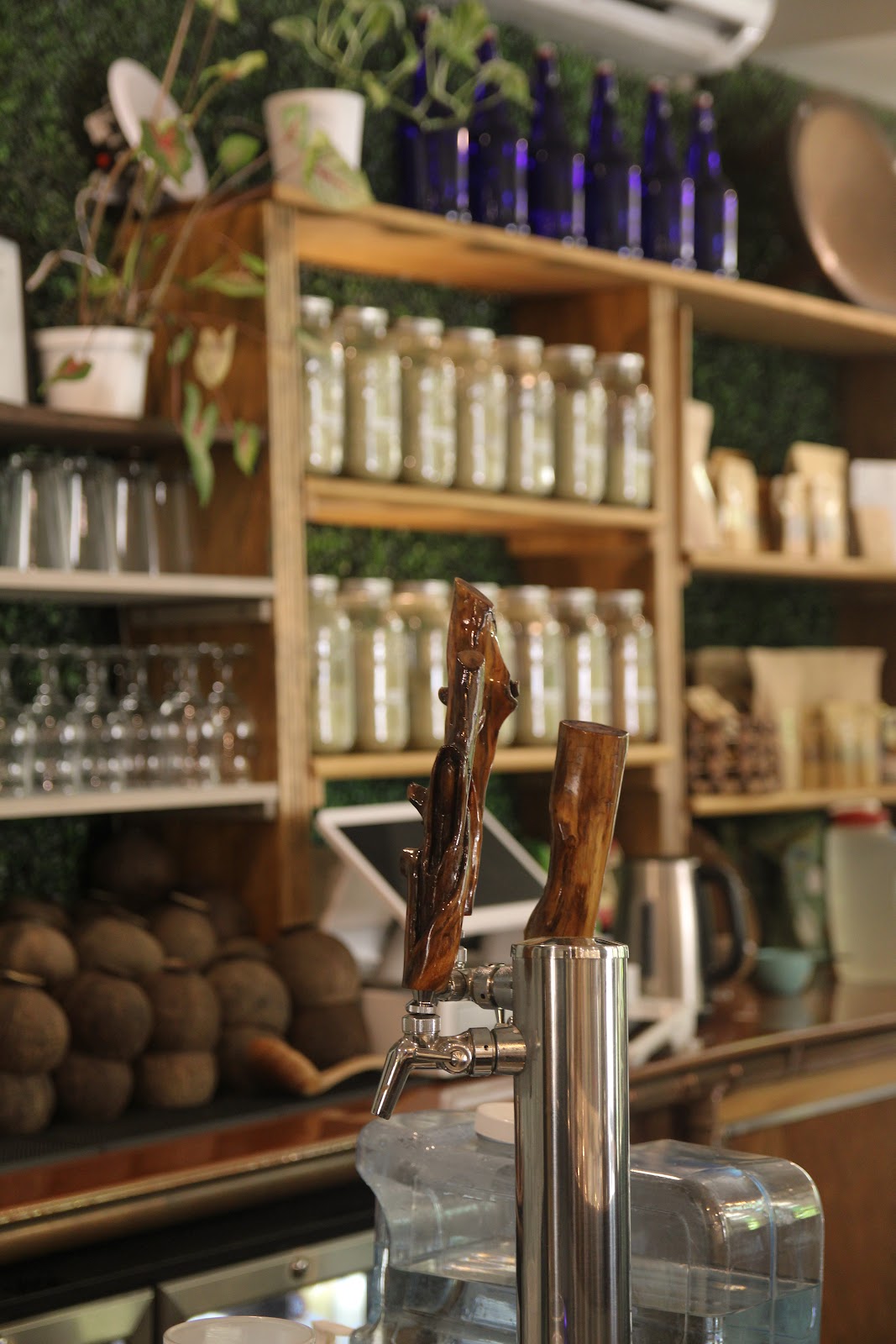 Kava Garden South of Fifth