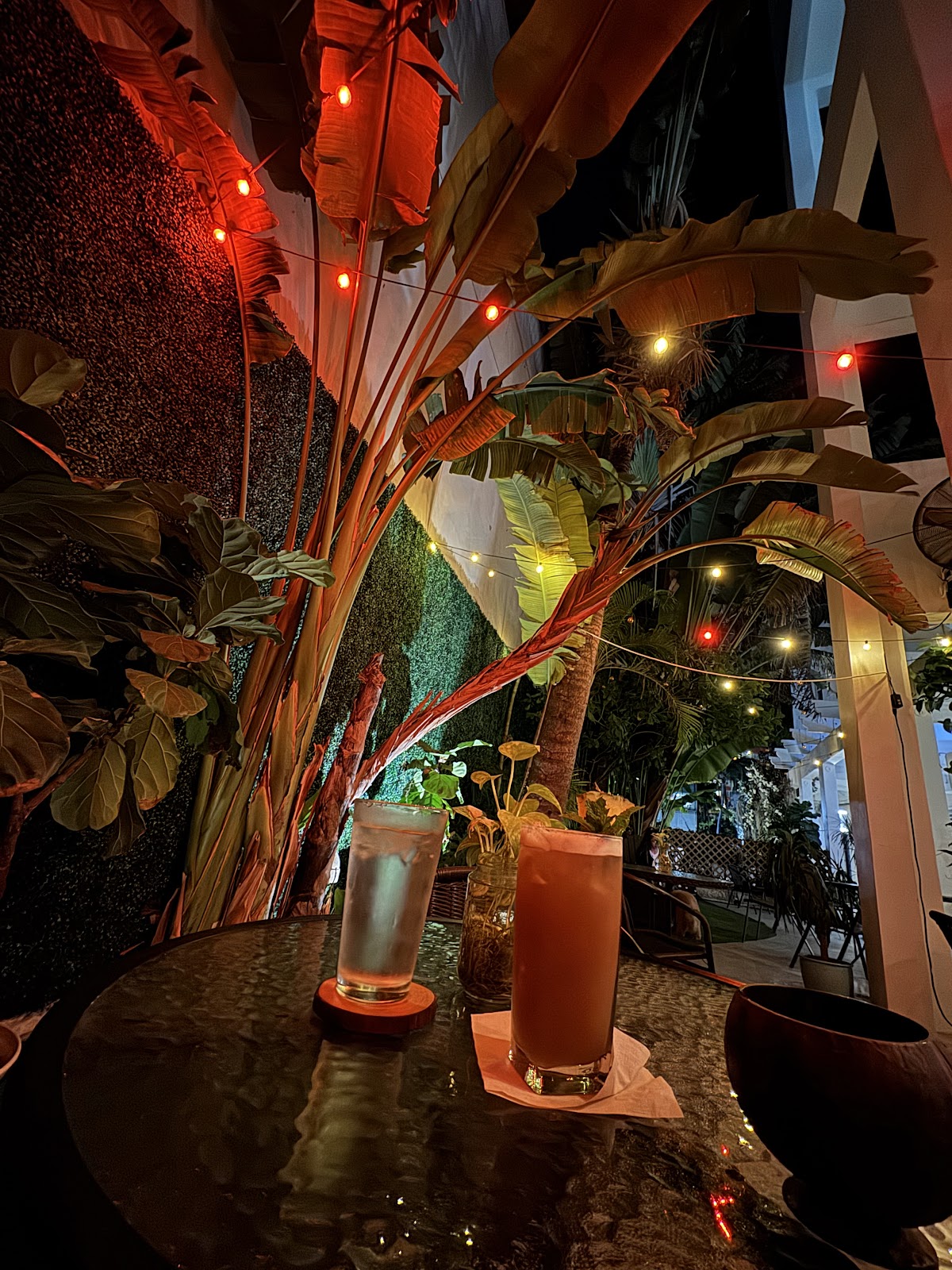 Kava Garden South of Fifth photo 3