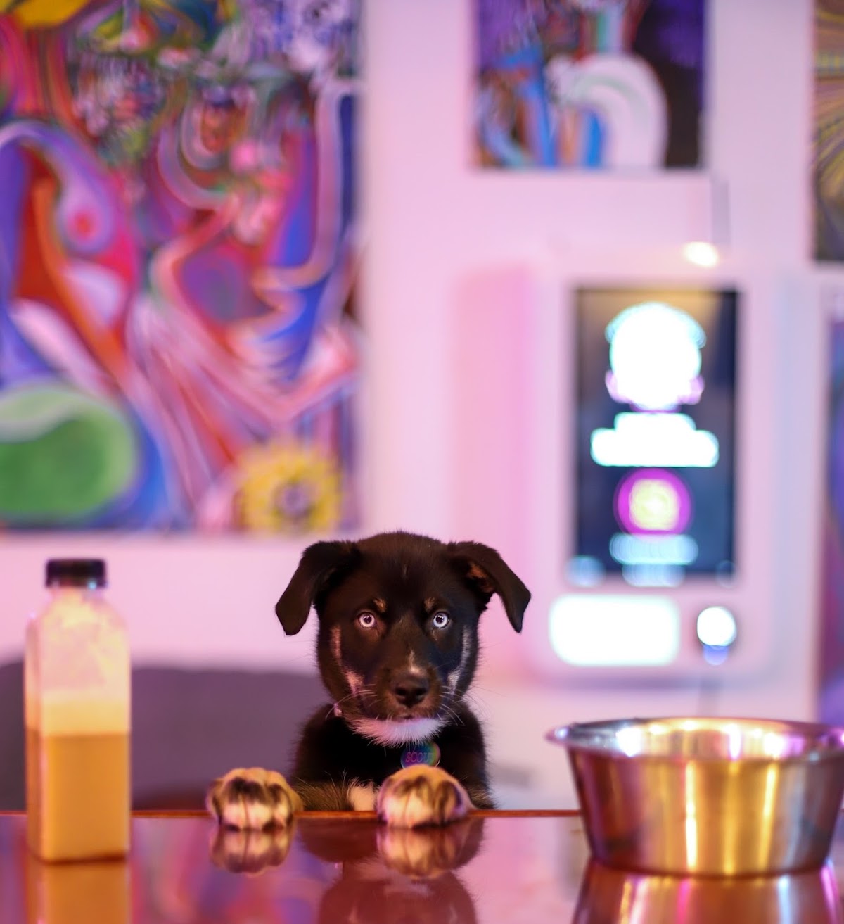 Vice City Kava - Coral Gables photo 6