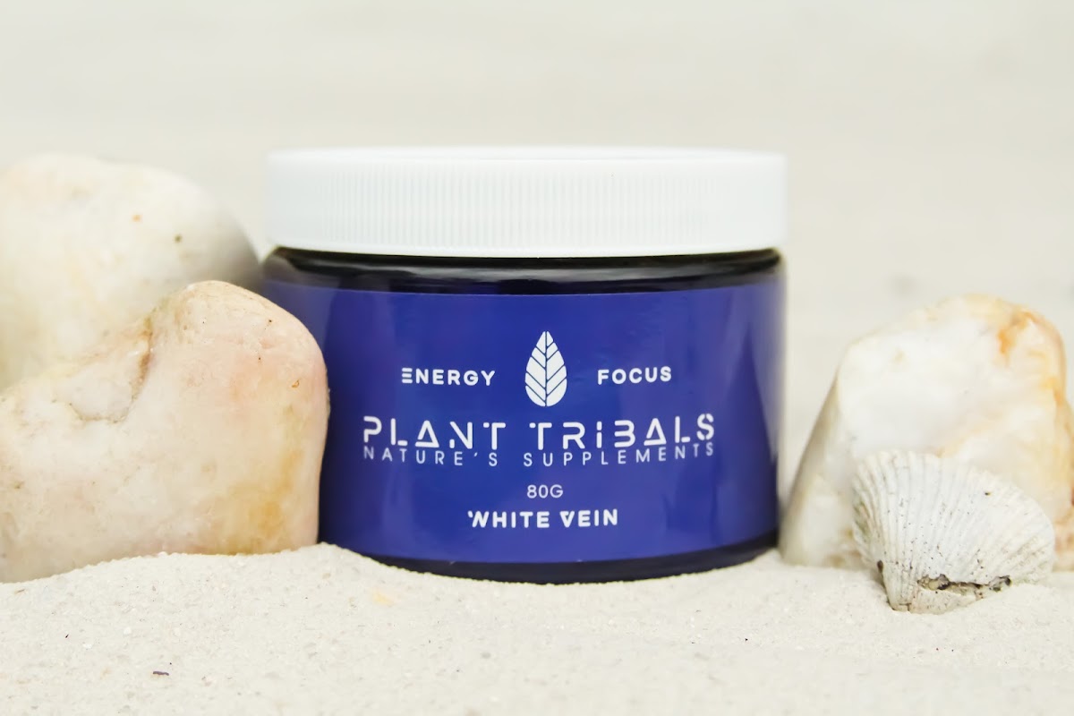 Kava Culture Kava Bar photo 6