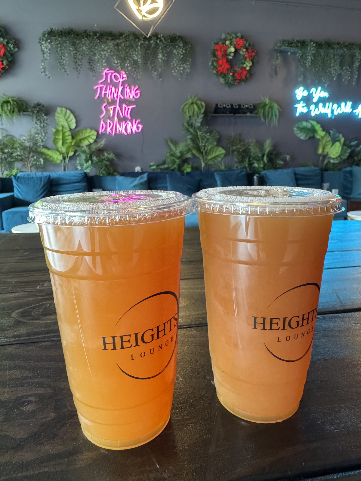 Heights Kava Lounge (Coffee , Kava, Kombucha, Herbal tea, Hookah) photo 6
