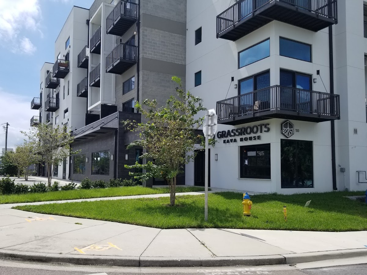 Grassroots Kava House photo 3