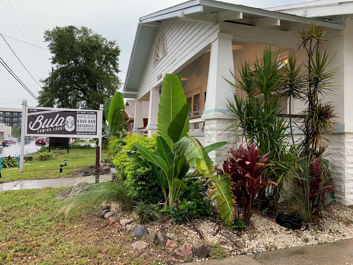 Bula Kavananda Kava Bar & Coffee House photo 7