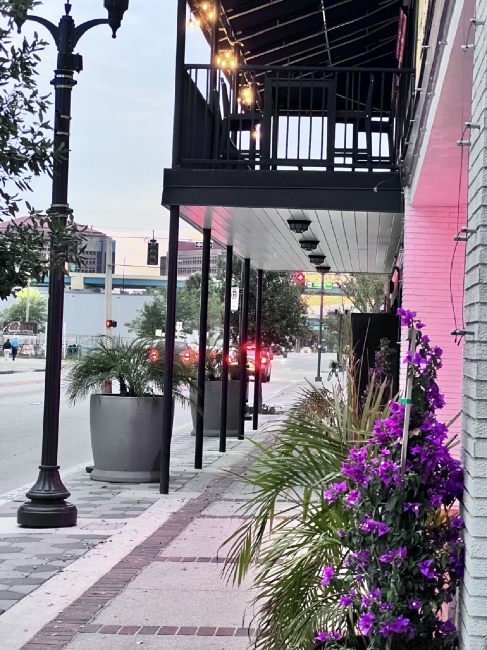 Kava Culture Kava Bar