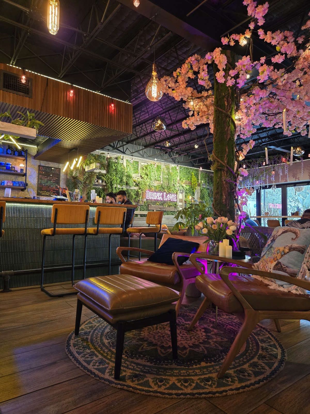 Kava Culture Kava Bar photo 2