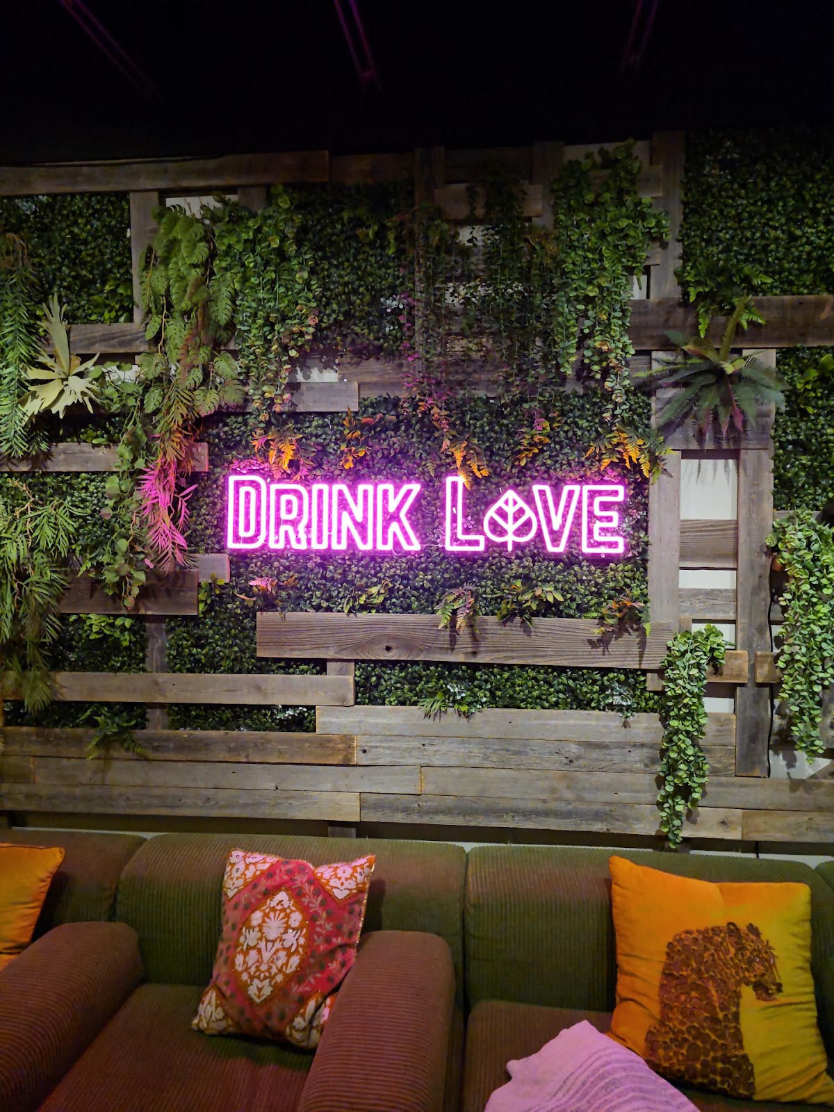 Kava Culture Kava Bar photo 4