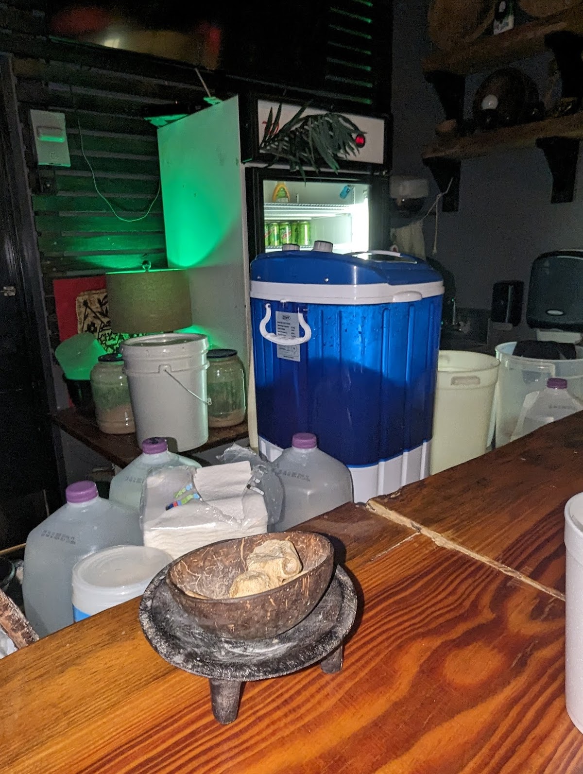 Pacific Rootz Kava Lounge photo 4