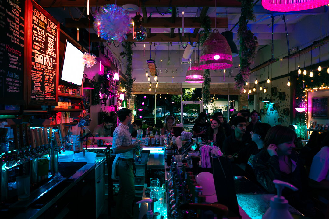 The Muddy Root Kava Cafe