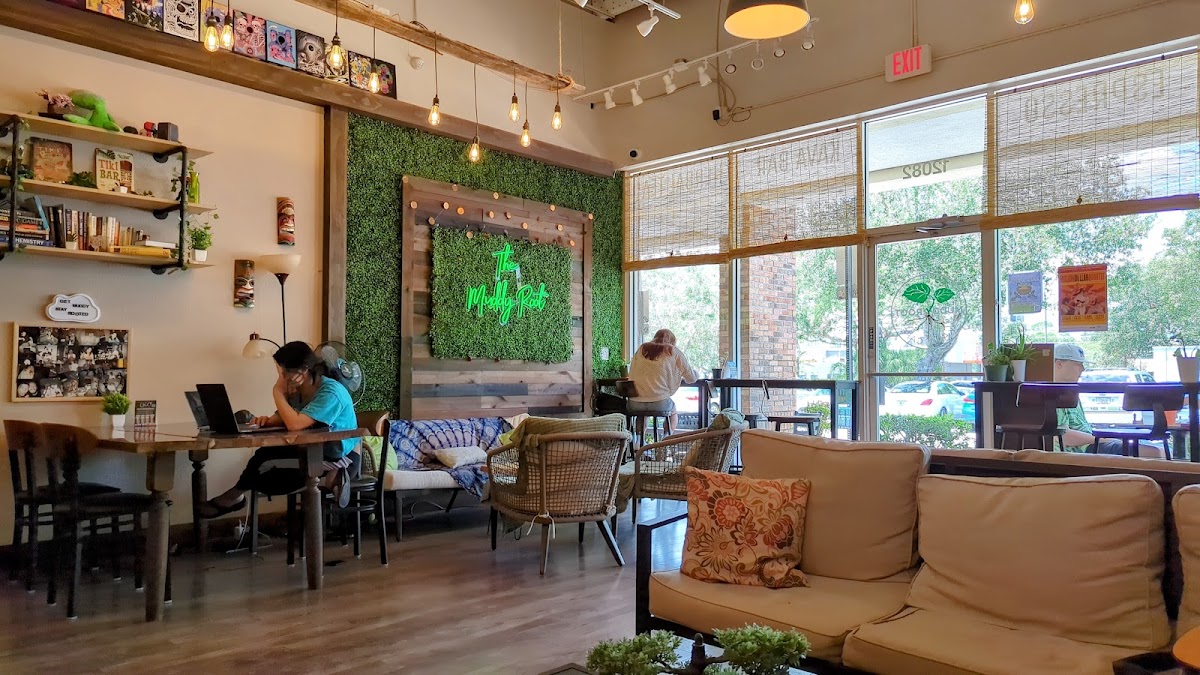 The Muddy Root Kava Cafe photo 2