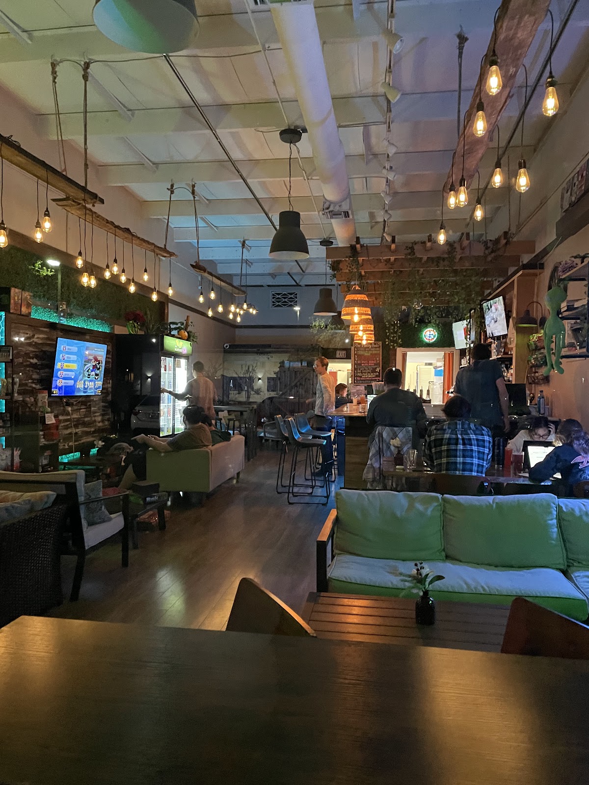 The Muddy Root Kava Cafe photo 3