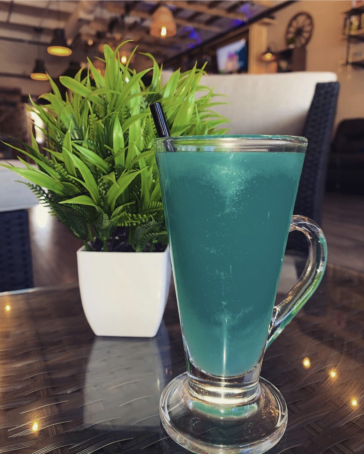 The Muddy Root Kava Cafe photo 6