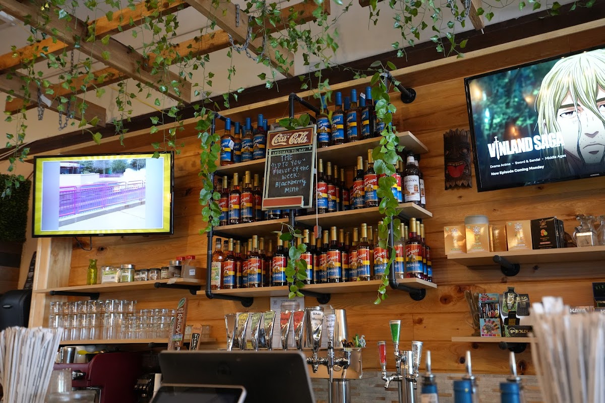 The Muddy Root Kava Cafe photo 8