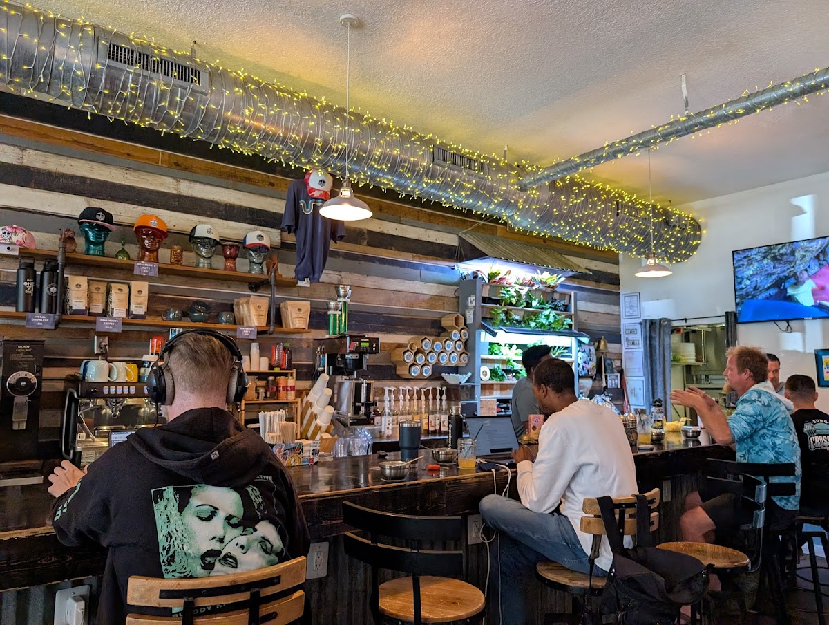 Grassroots Kava House photo 2