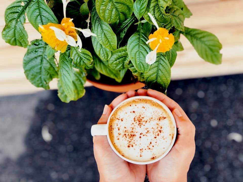 Muddy Water Kava photo 1