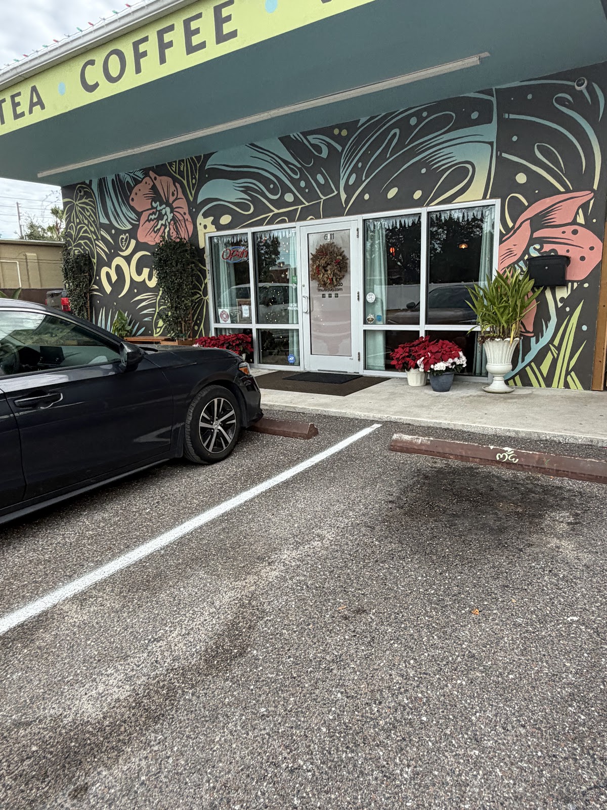 Muddy Water Kava photo 6