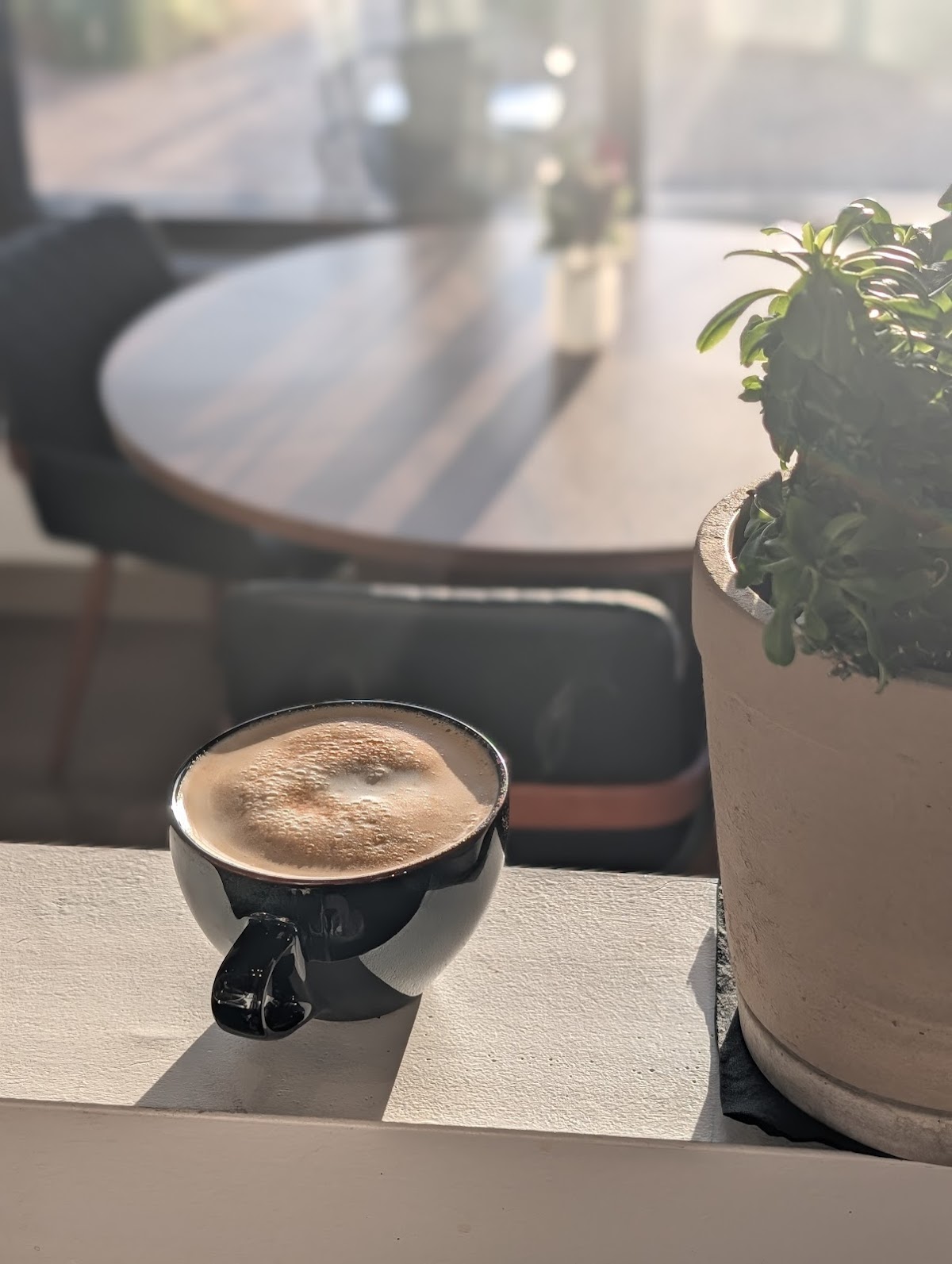 Lucid Coffee and Kava photo 4