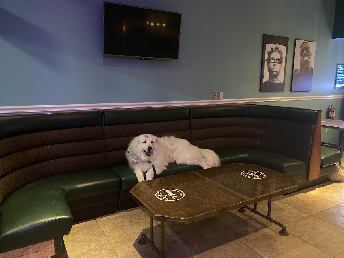 Midtown Kava Lounge photo 2