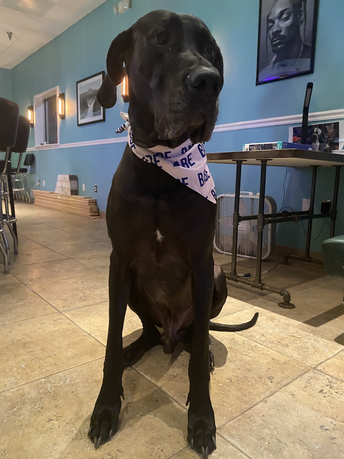 Midtown Kava Lounge photo 7