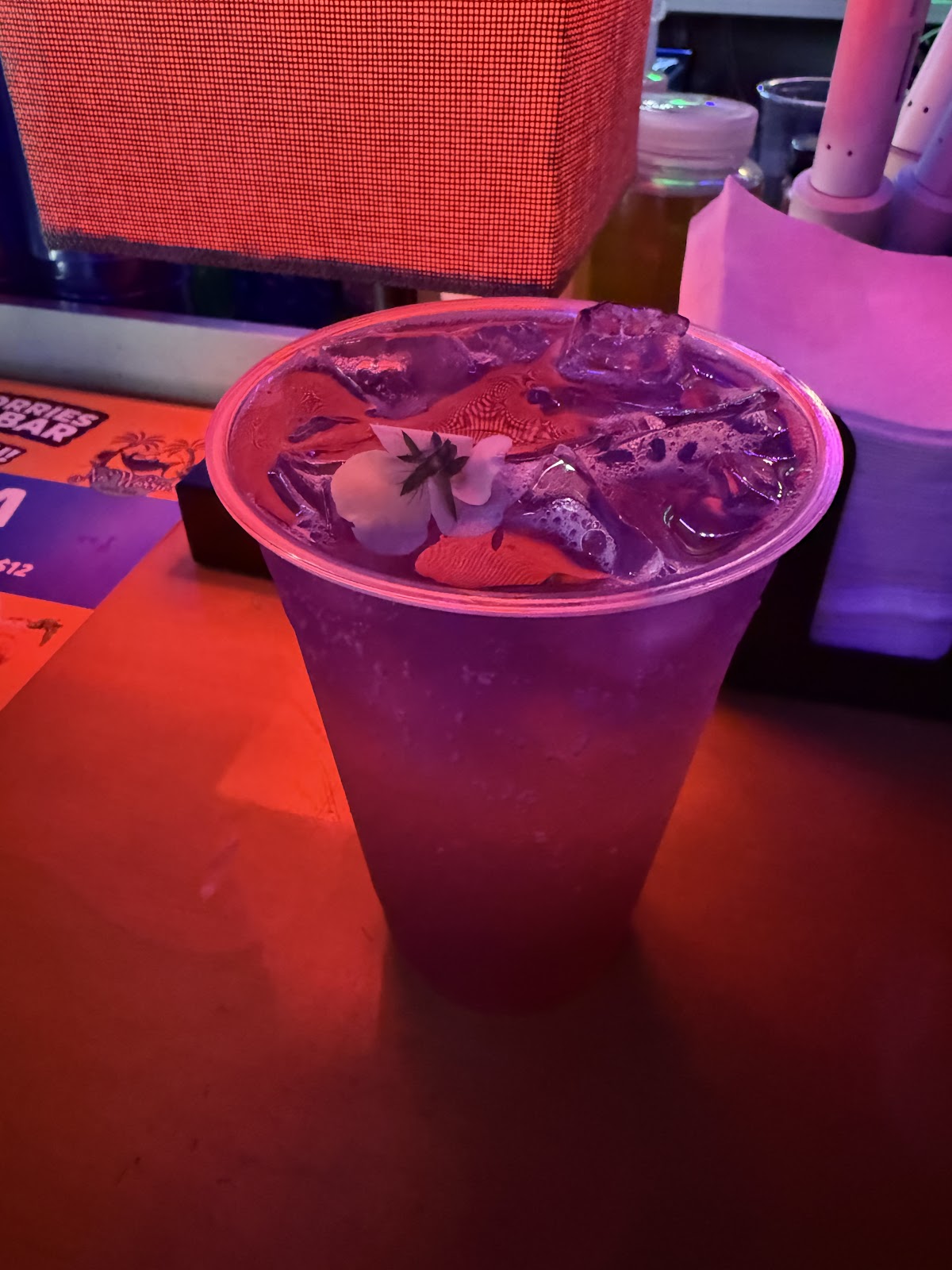 No Worries Kava Bar photo 4