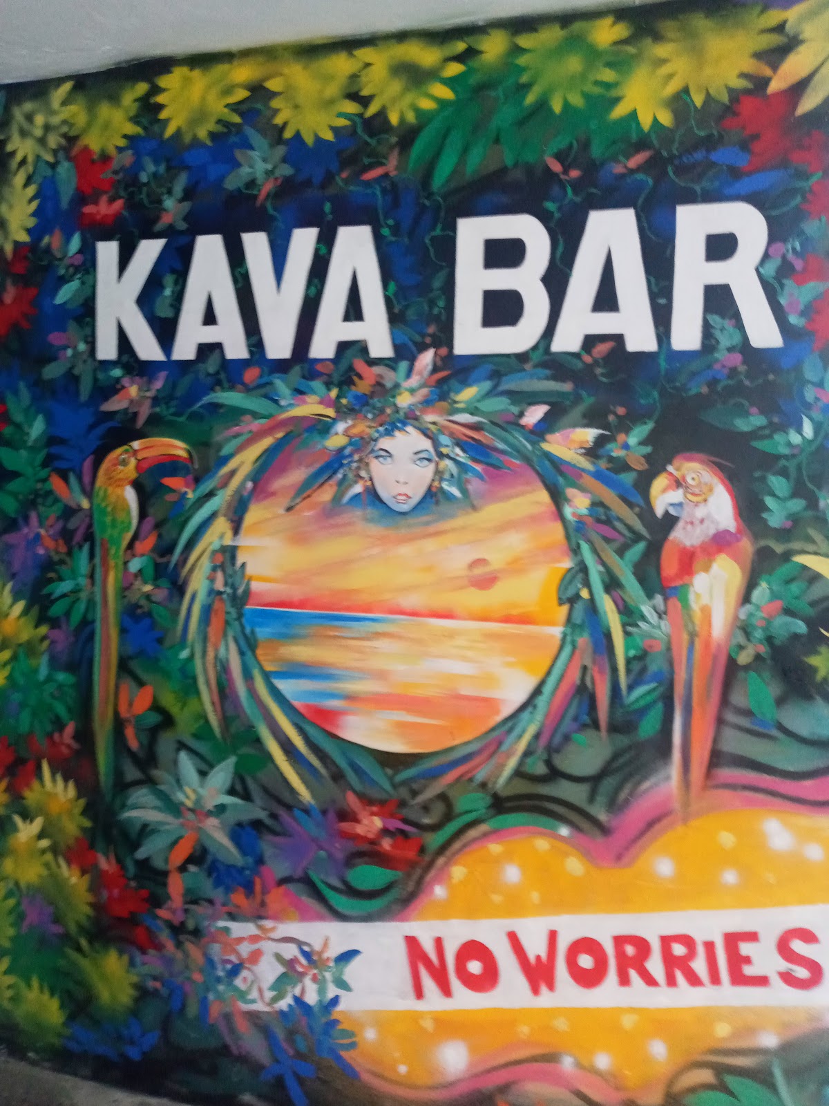 No Worries Kava Bar photo 6