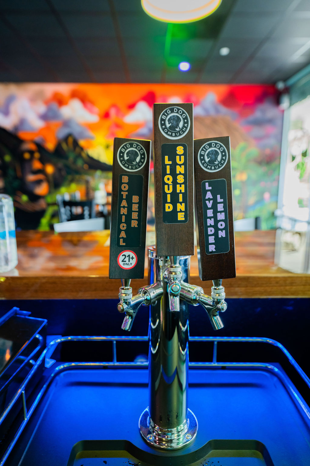 Island Root Kava Bar St Lucie West photo 2