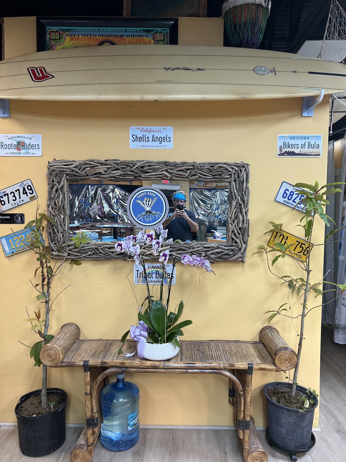 Shaka Kava 772 photo 6