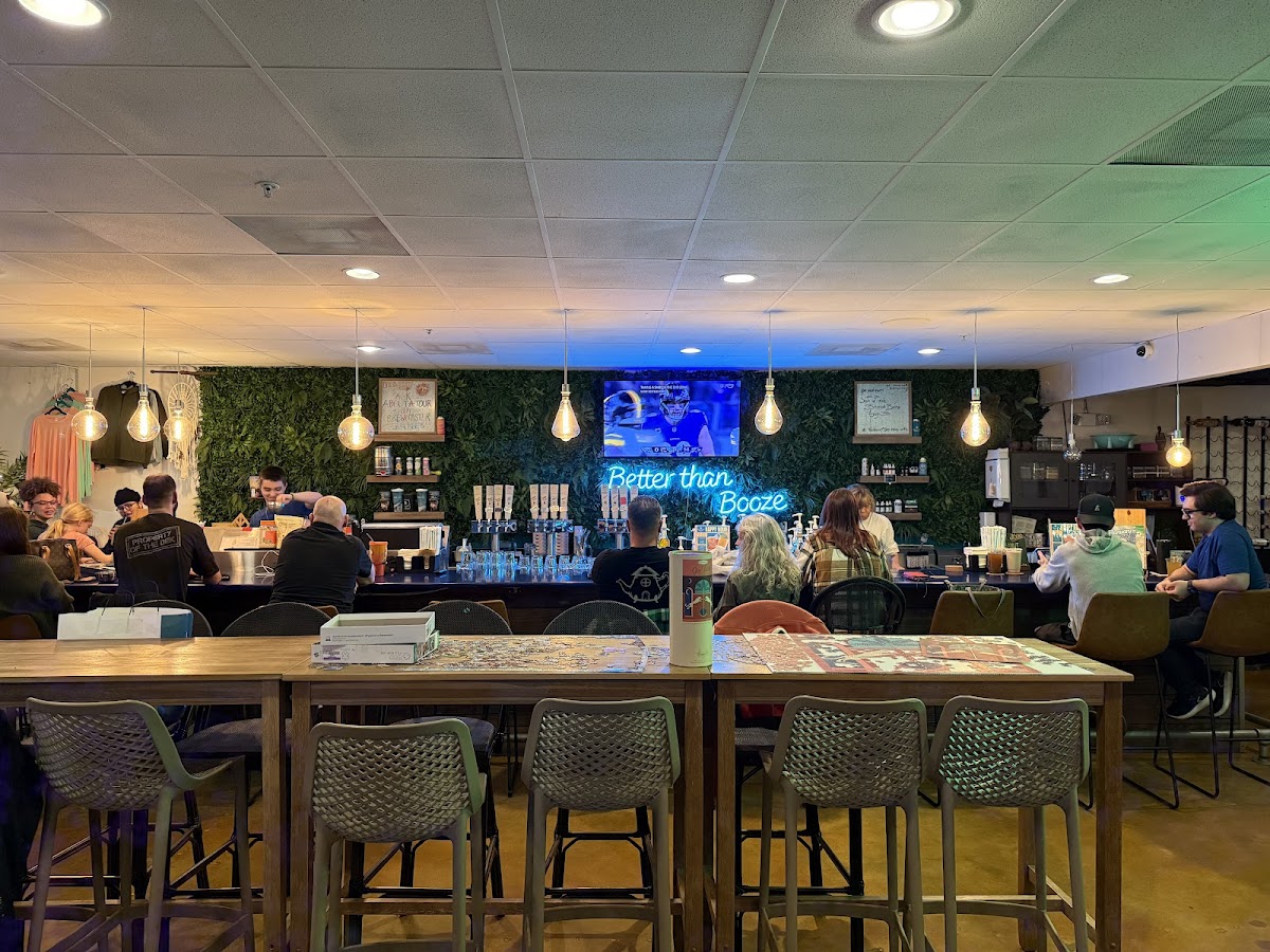 Kava Culture Kava Bar HQ photo 2