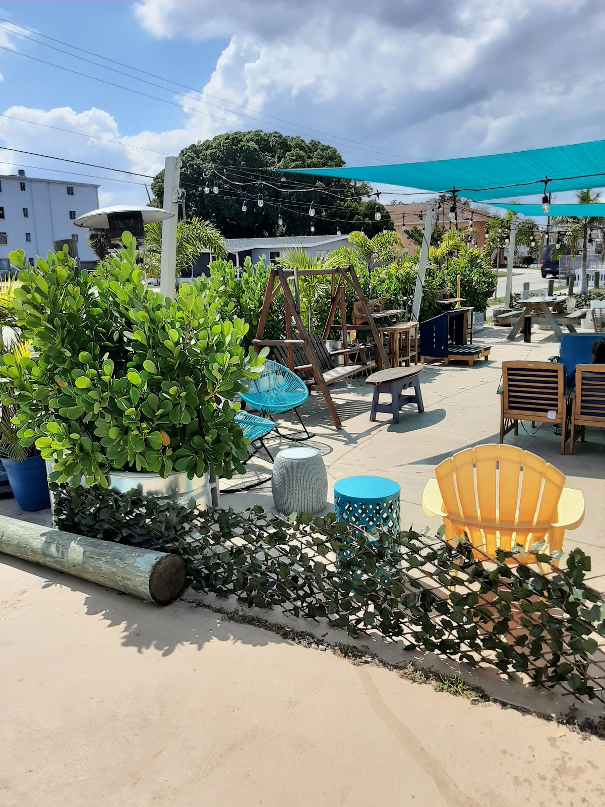 Kava Culture Kava Bar HQ photo 6