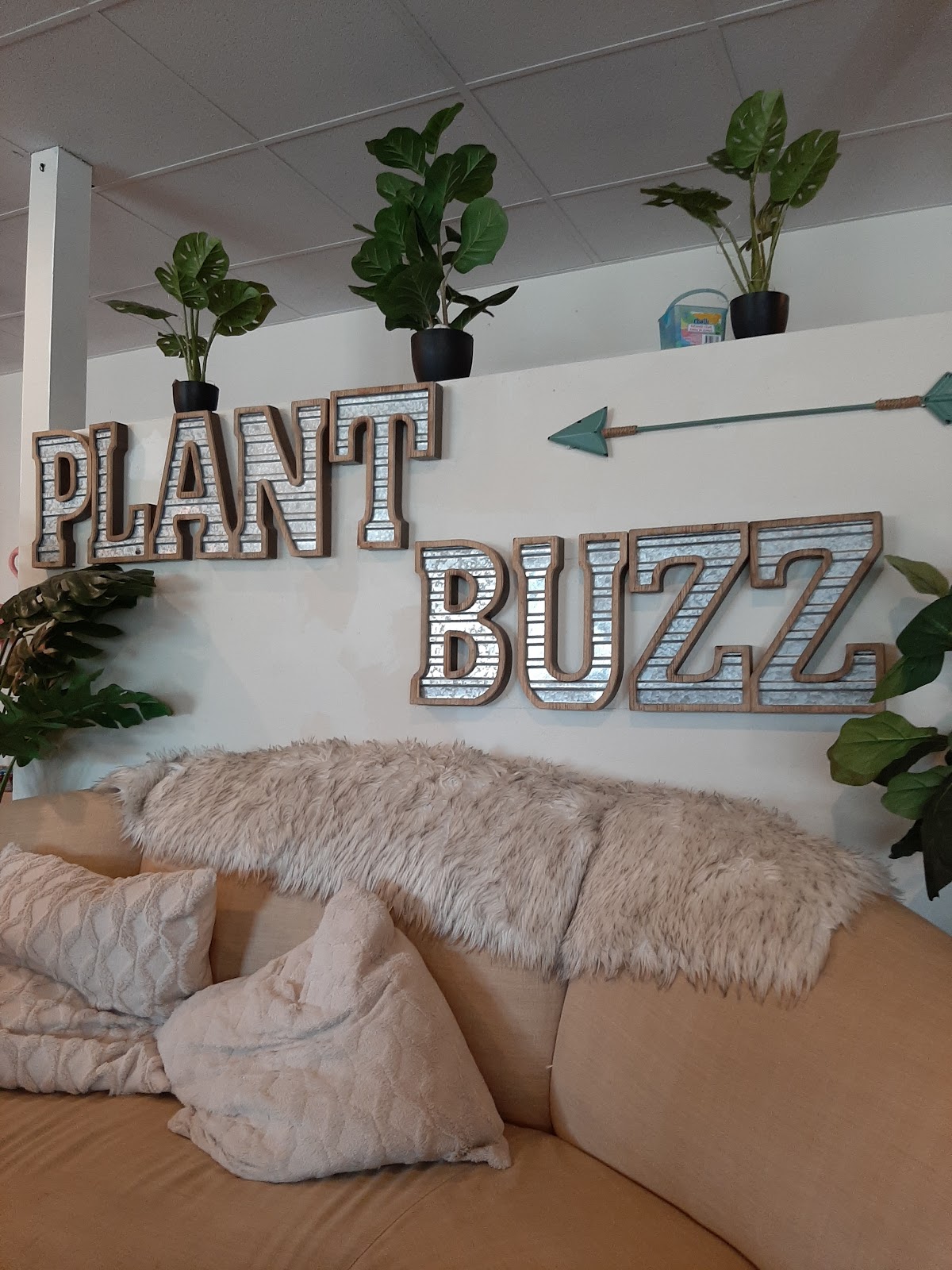 Kava Culture Kava Bar HQ photo 7