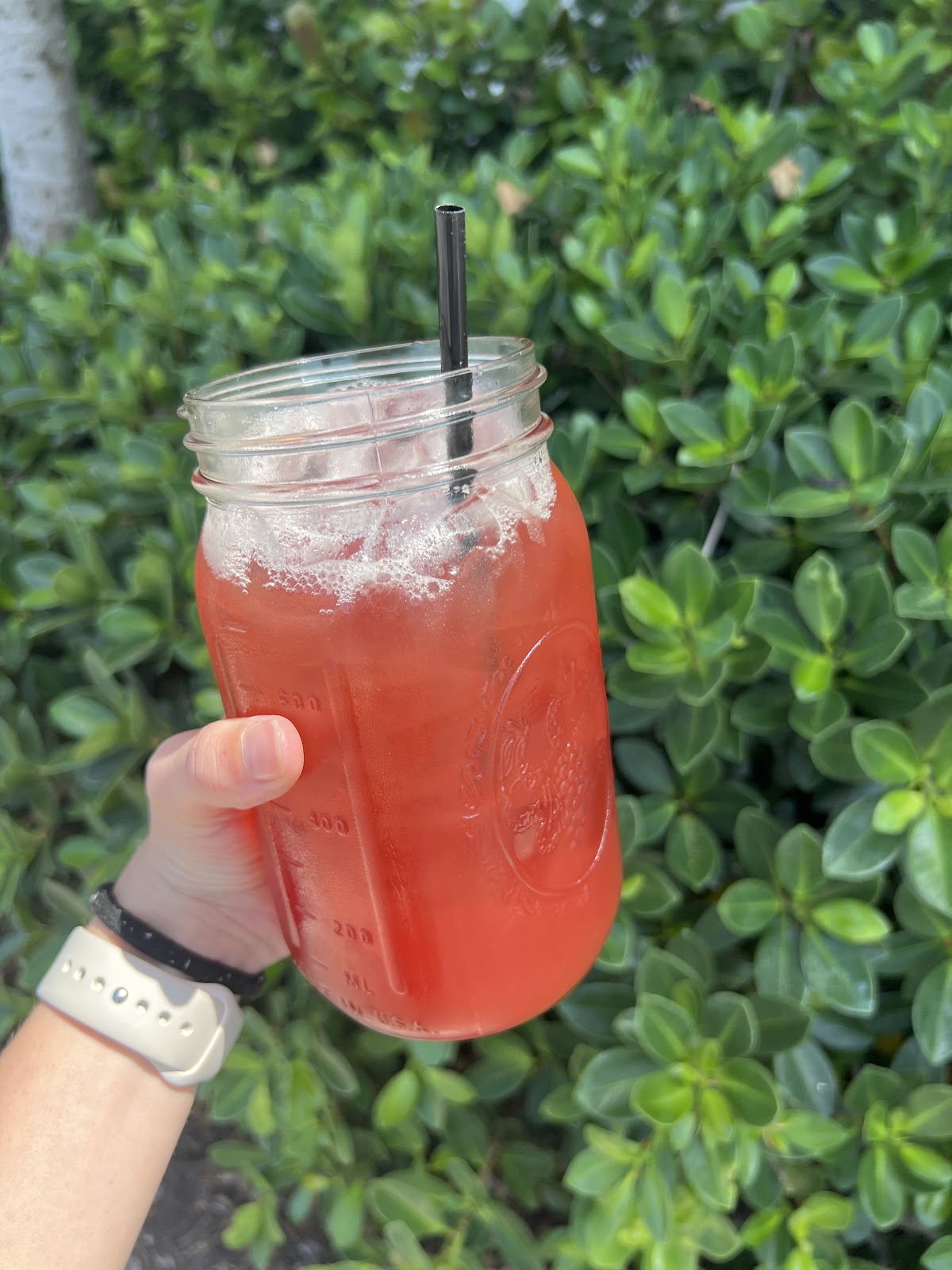 Island Vibes Kava Bar photo 6