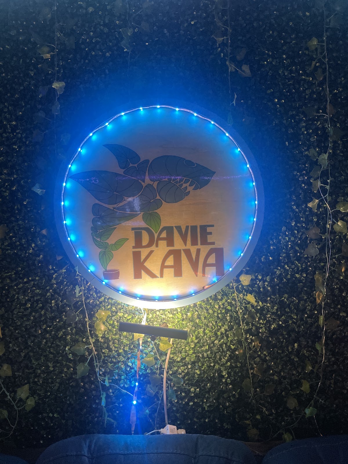 Davie Kava photo 2