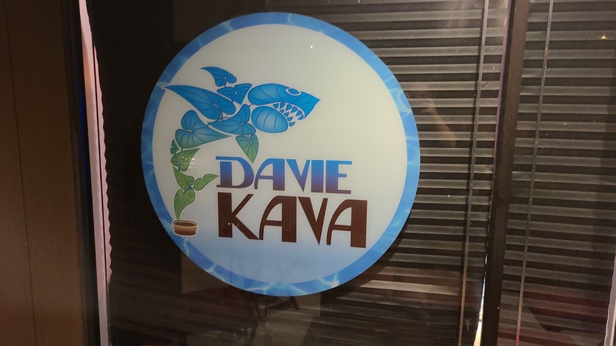 Davie Kava photo 7