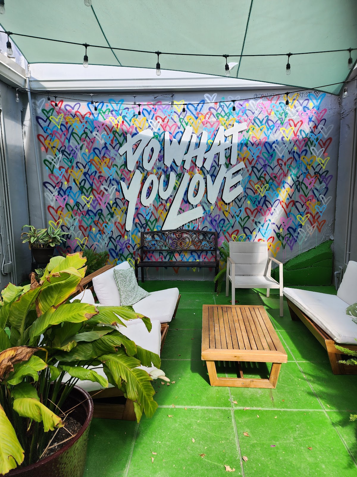 Elixir Kava Boutique