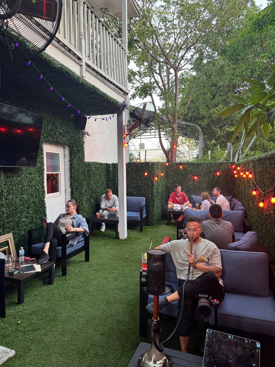 Vibehaus Kava Bar & Lounge photo 2