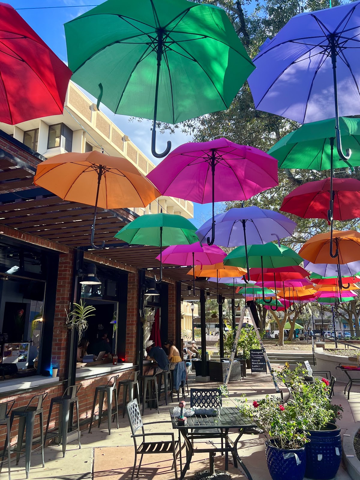 Kava Gator Coffee Shop