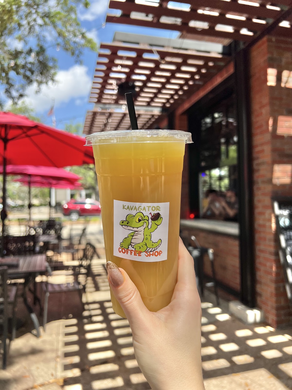 Kava Gator Coffee Shop photo 5