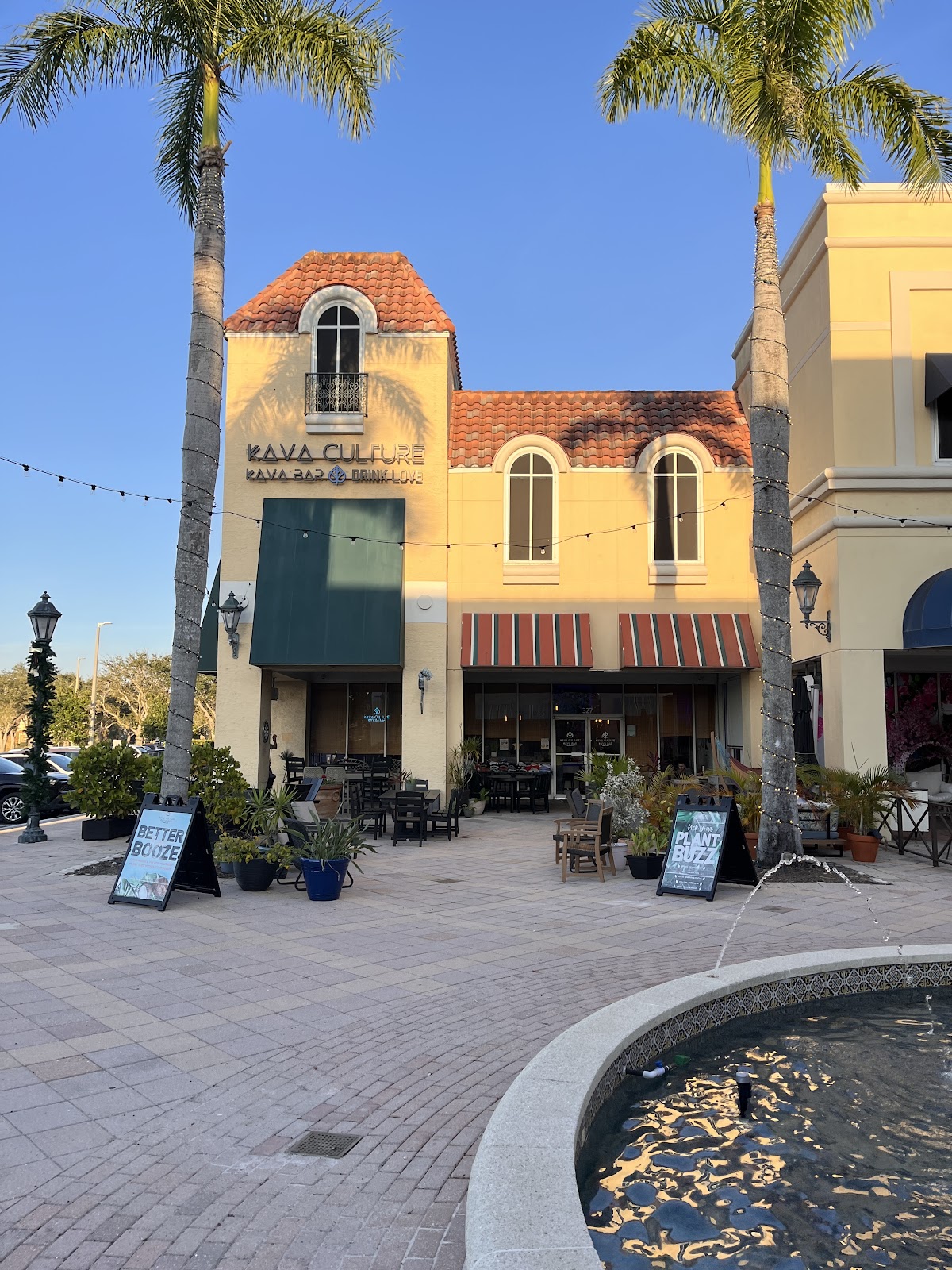 Kava Culture Kava Bar photo 4