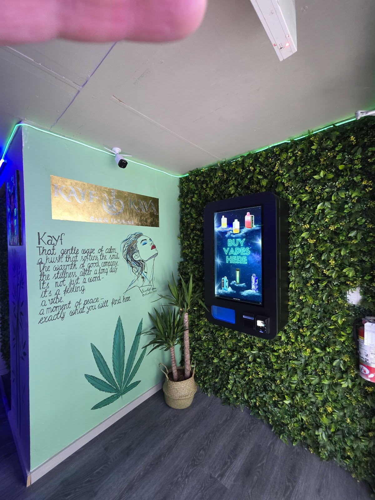 Kayf Kava Bar and Hookah Lounge LLC photo 7