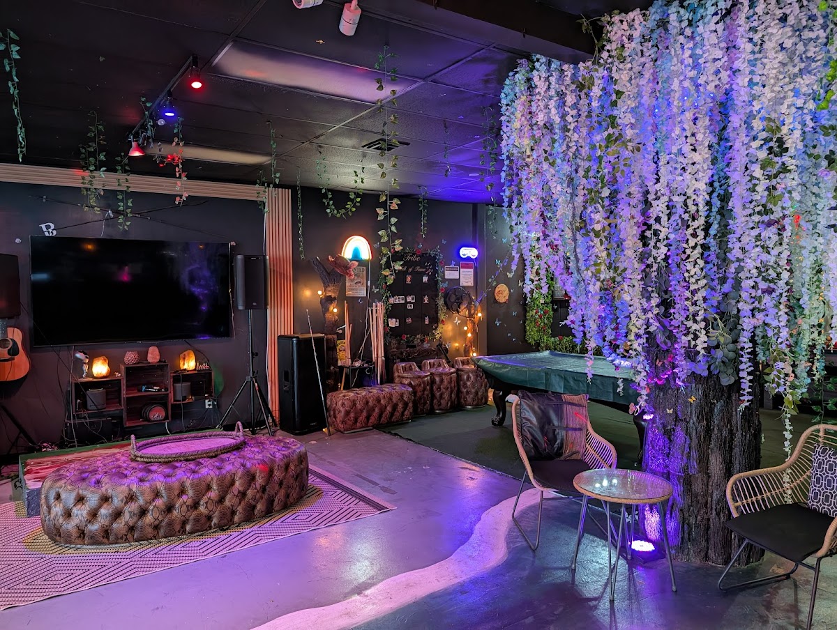 Tribe Tea Kava Lounge photo 2