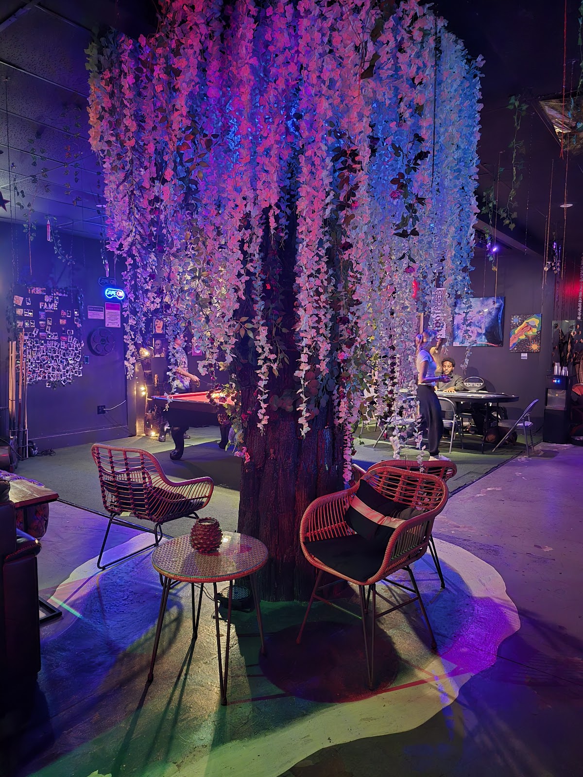 Tribe Tea Kava Lounge photo 3