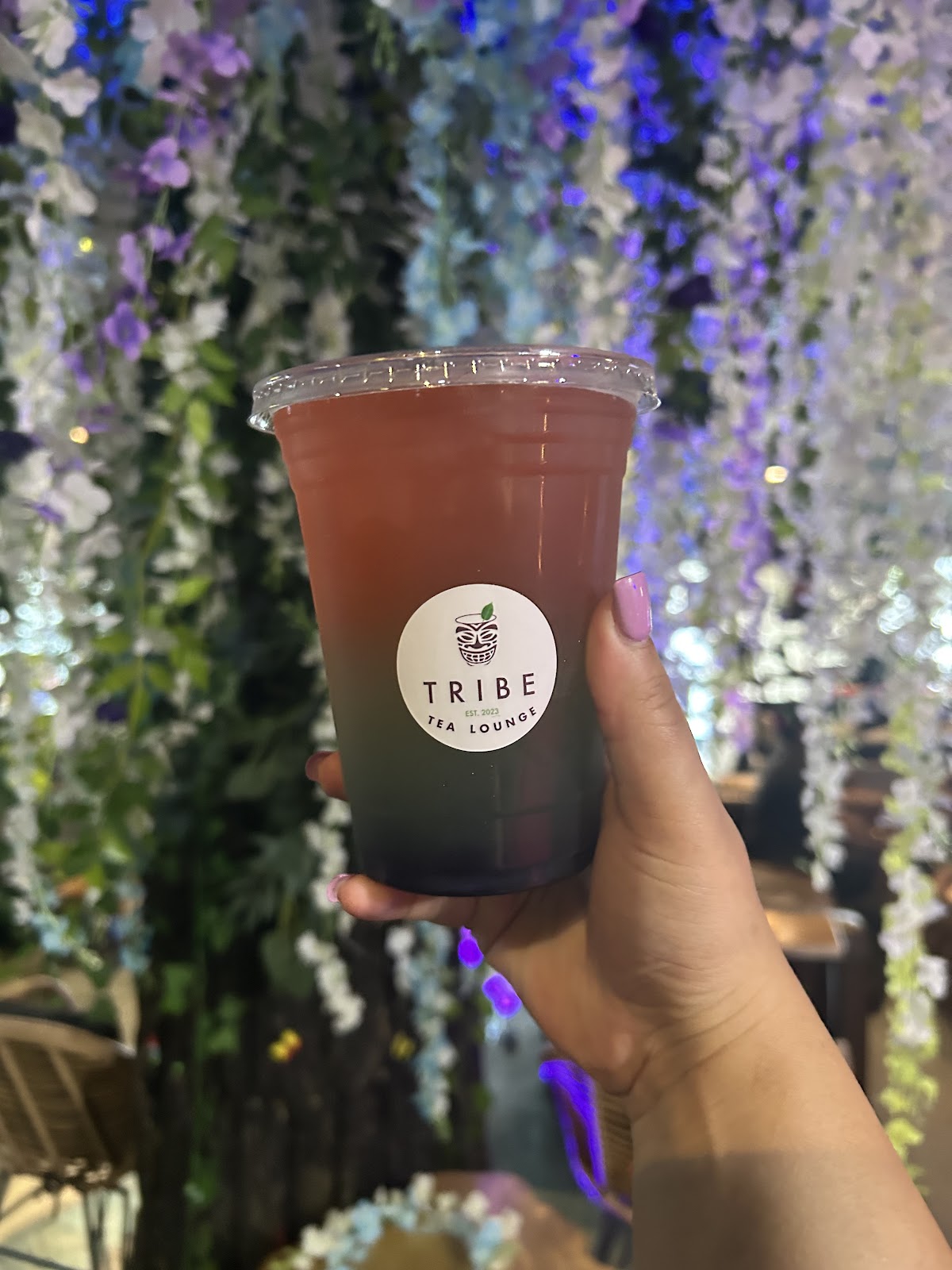 Tribe Tea Kava Lounge photo 5