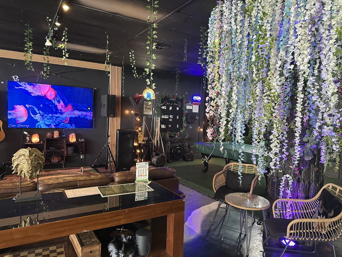 Tribe Tea Kava Lounge photo 7